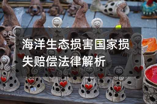海洋生态损害国家损失赔偿法律解析