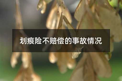 404658