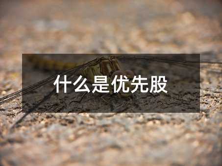 405051