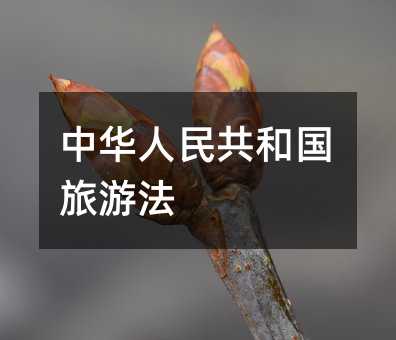 408051