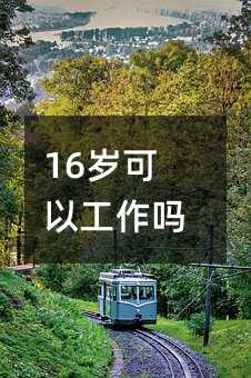 354206