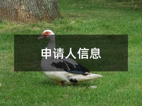 365748