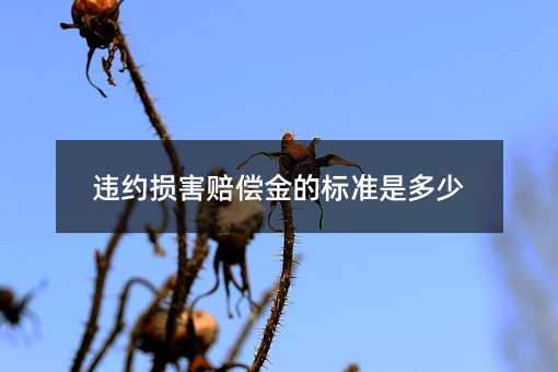 违约损害赔偿金的标准是多少