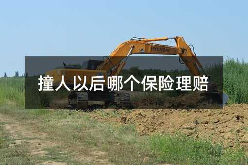 356602