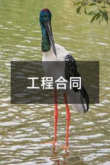 394148