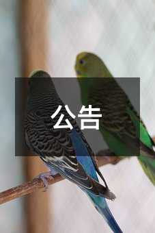 417538