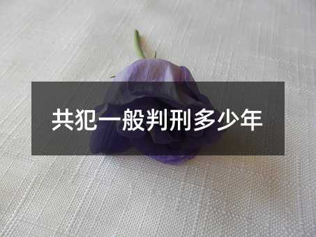355963
