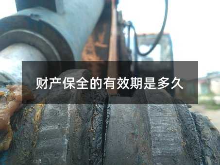 356233