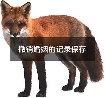 401315