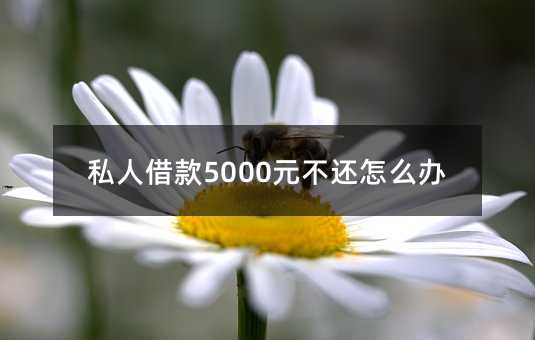 355578