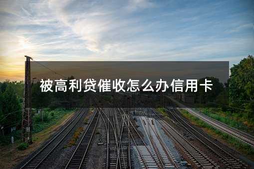 355076
