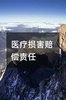 医疗损害赔偿责任
