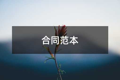 401707