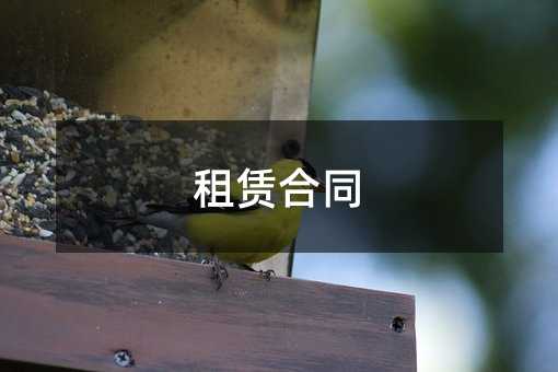 432955