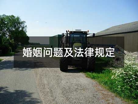 425695