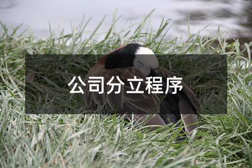 426365