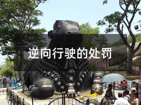 416343