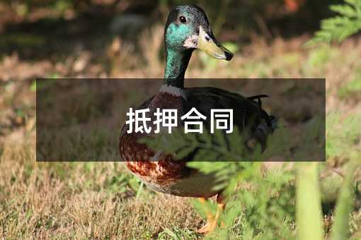 382758