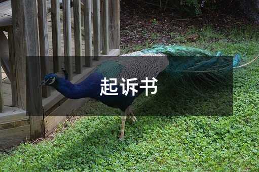 398805