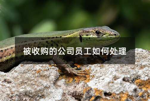 402073