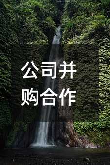411790