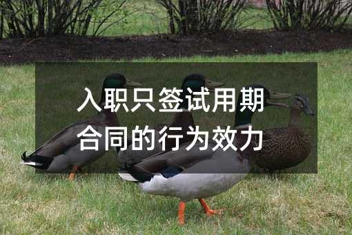 404662