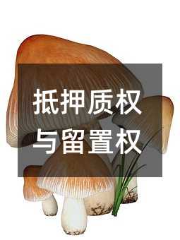 405335