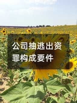 396056