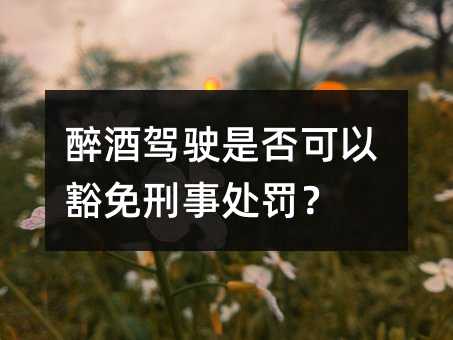 醉酒驾驶是否可以豁免刑事处罚？