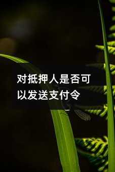 对抵押人是否可以发送支付令