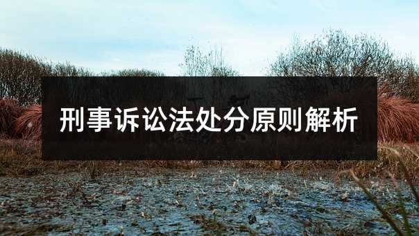 刑事诉讼法处分原则解析