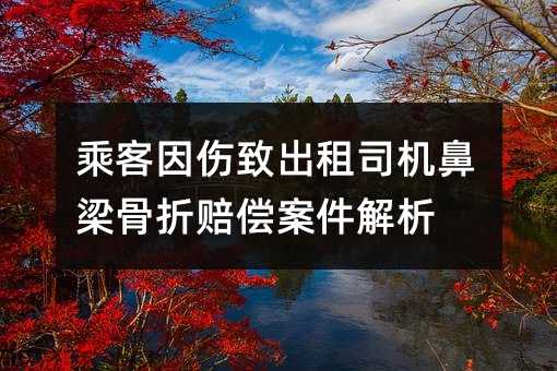 乘客因伤致出租司机鼻梁骨折赔偿案件解析