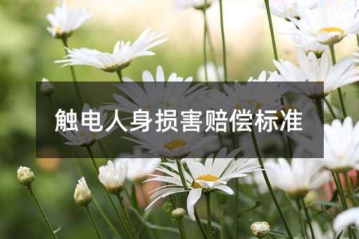 触电人身损害赔偿标准