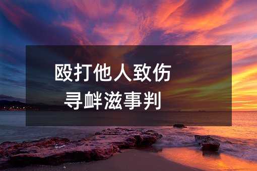 殴打他人致伤   寻衅滋事判刑