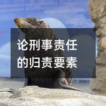 论刑事责任的归责要素