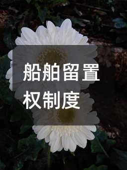 400816