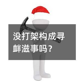 没打架构成寻衅滋事吗？