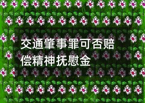 交通肇事罪可否赔偿精神抚慰金