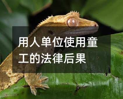 390505