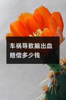 车祸导致脑出血赔偿多少钱