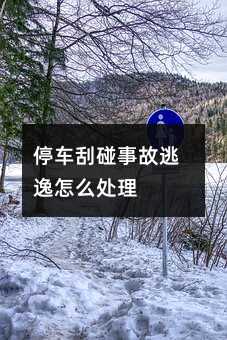 停车刮碰事故逃逸怎么处理