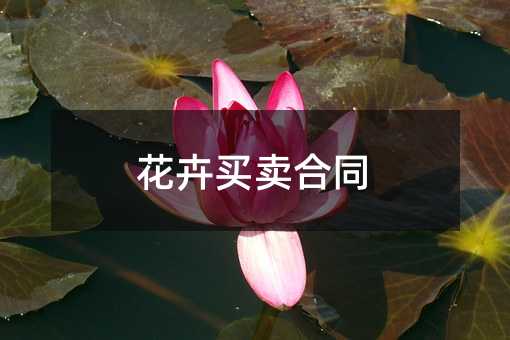 375532