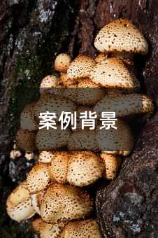 403862
