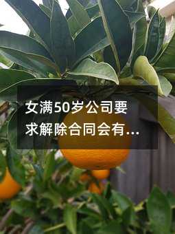 401568