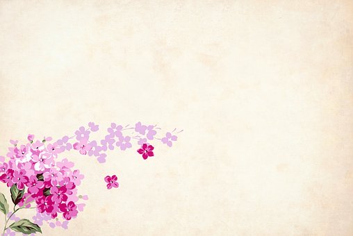 306028