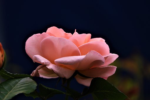 177086
