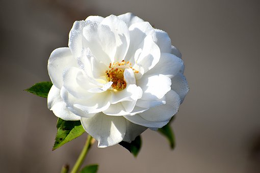 158178