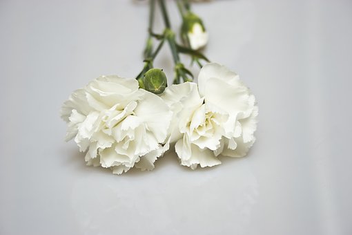 295909