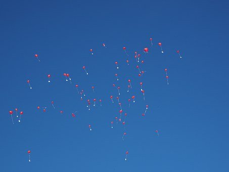 221004