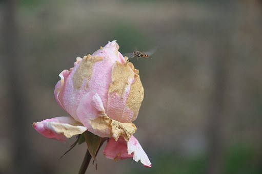 100519